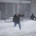 ФОТО, ВИДЕО и ОНЛАЙН-БЛОГ: Зима вернулась! Эстонию укрыло снегом, на дорогах царит хаос
