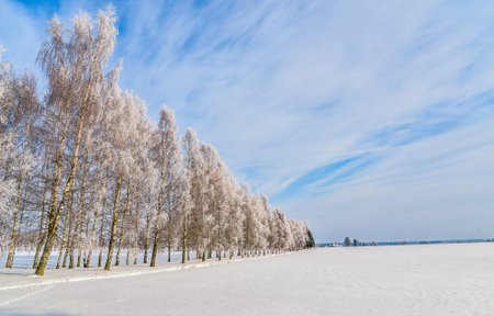 Talvine loodus Viljandimaal