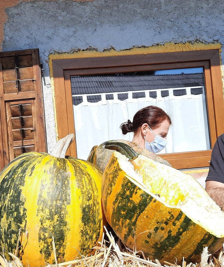 Hergani talu teeb kõrvitsaseemneõli, tegemisi tutvustab peremees Dušan Kos.