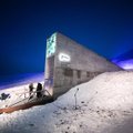 На Шпицбергене построят "Хранилище судного дня" для музыки