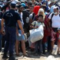 Польша, Венгрия, Чехия и Словакия — против идеи квот по приему мигрантов