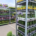 Хорошая новость для садоводов! Первая сеть розничной торговли открыла уличную продажу товаров для сада