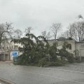 Поваленные деревья, улетевшая с балконов мебель — в Эстонии шторм