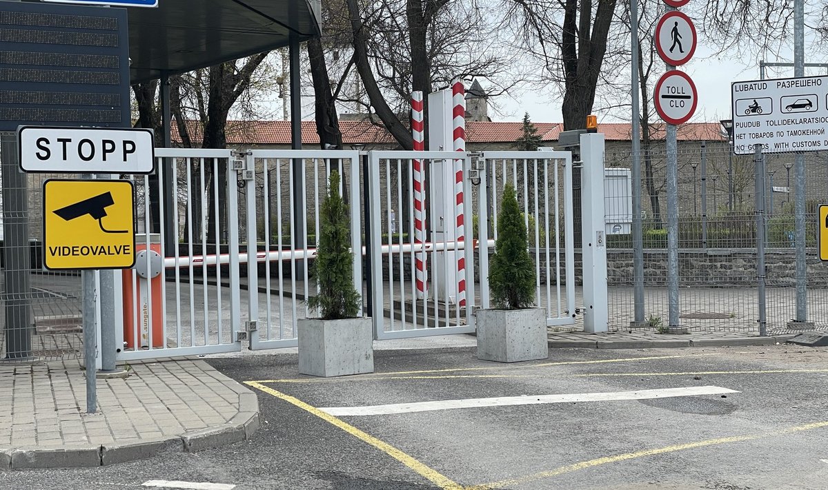 У ворот погранпункта в Нарве появились туи, чтобы помешать незаконной парковке