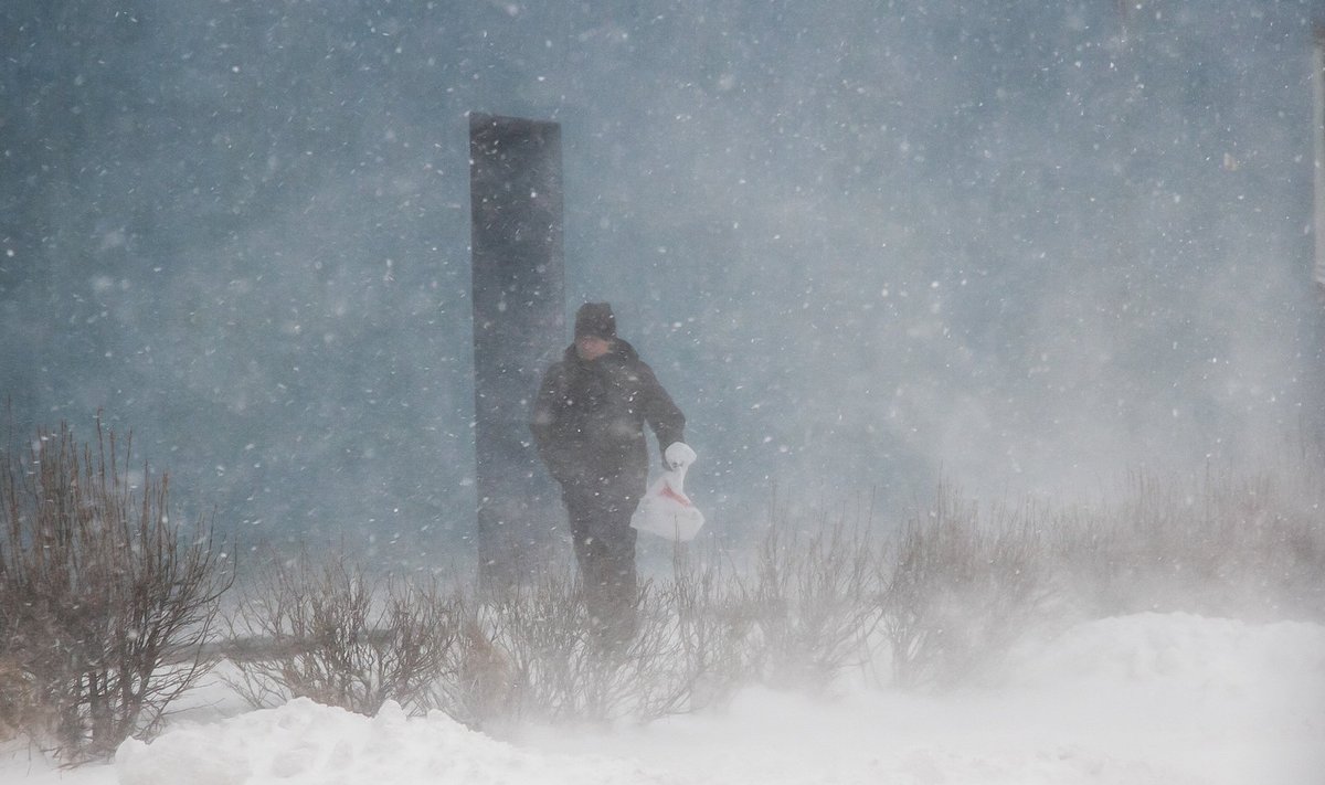 Saaremaale saabus järjekordne talv lumetuisu ja tugeva tuulega