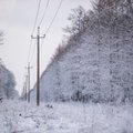 KAART | Tuul ja tuisk on Lääne-Eestis elektrita jätnud üle 3000 majapidamise