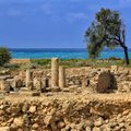 Кипр накрыла волна мошенников Airbnb