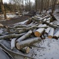 Bioloog Tõnu Ploompuu: Silmamoondamispõhine Eesti metsandus?