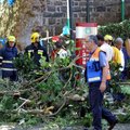 ÕÕVASTAV VIDEO | Langev puu surmas Portugali usufestivalil 11 külastajat