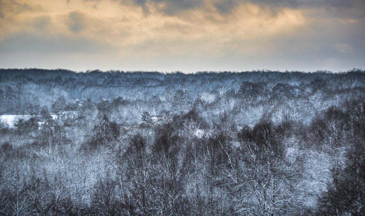 Esimene ametlik talvekuu on Eestis üpris muutliku ilmastikuga.