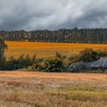 Sügise sünnipäev 23.09