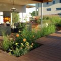 СОВЕТЫ | Десять правил оформления сада от ландшафтного дизайнера
