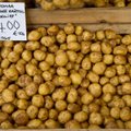 Toidupank vabandas puudustkannatajatele saadetud mädanenud kartulite pärast