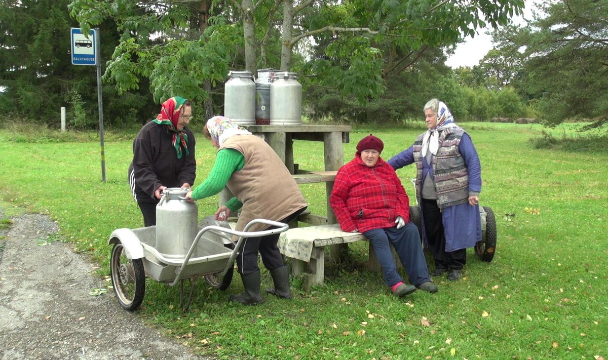 Järvamaa Salutaguse külaseltsi naised eesotsas Virve Kluustiga taaselustasid stseeni piimaauto ootamisest.