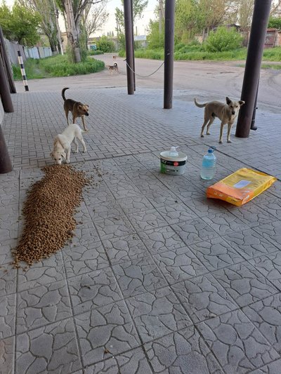 Irina hoolealused Hersonis