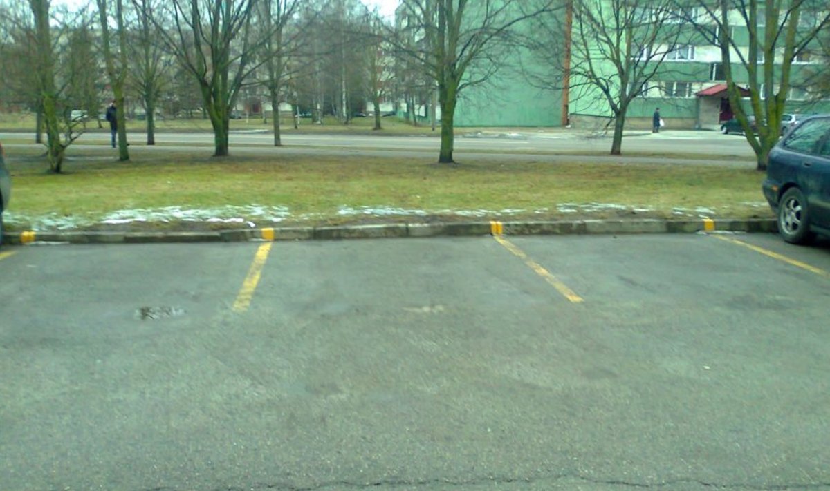 Parkimist keelavad kollased jooned parklas