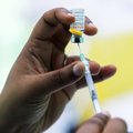 В Нидерландах началась вакцинация против оспы обезьян