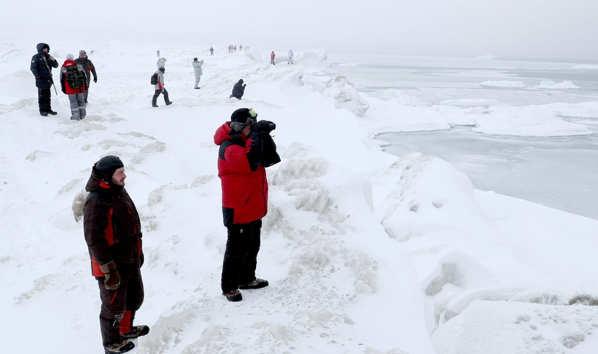 Venemaa jaoks on Arktika üha tähtsam. Pildil teevad Vene polaaruurijad uuringuid Franz Josephi maal.