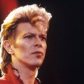 VAATA: Spetsiaalselt David Bowie jaoks ehitatud idülliline häärber on priske summa eest müügis