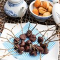 Pähklioksaploom ‘Hiiu sinine’ rummi ja šokolaadiga