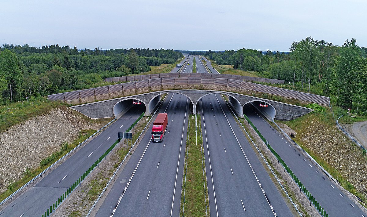 Tallinna-Tartu maantee ökodukt.