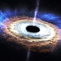 VIDEO: vaata, kuidas must auk tähe puruks rebib