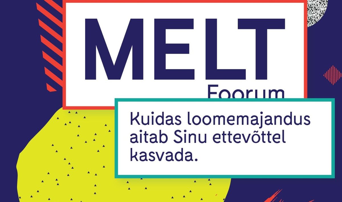 MELT Foorum näitab, kuidas loovuse abiga  tooted ja teenused konkurentsivõimelisemaks arendada