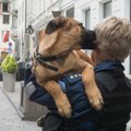 Пограничный пес нашел доставленную из России партию контрабандных сигарет