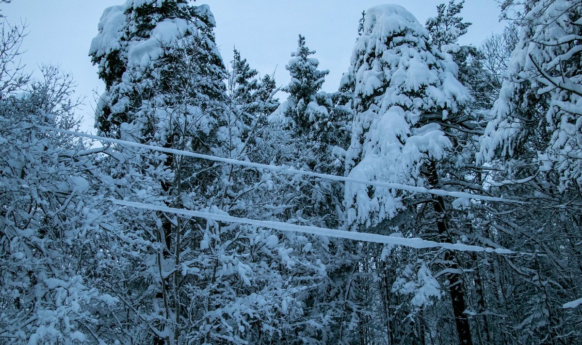 Saaremaa, Kärla peale tormi Birgit