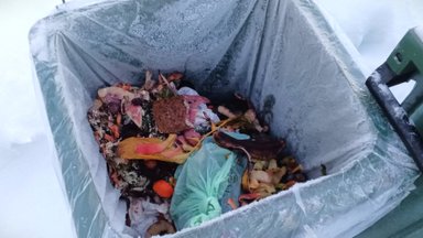 Lihtne nipp: mida teha, et biojäätmed konteineri külge kinni ei külmuks