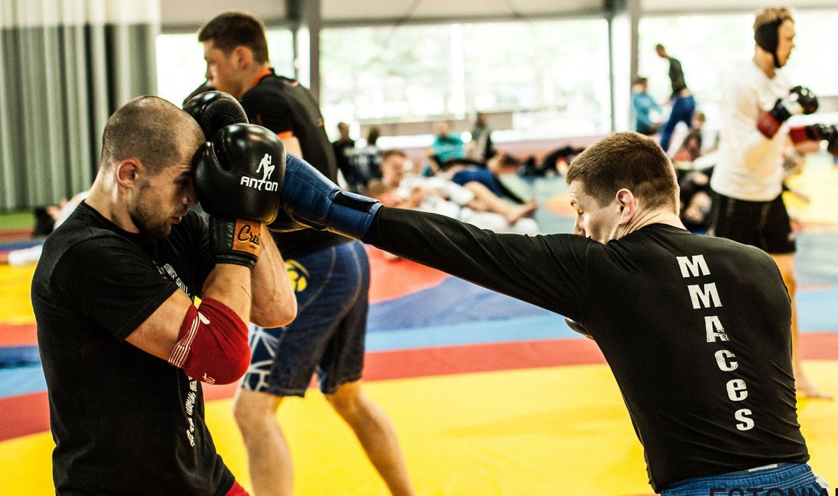 Treeninglaager Pärnus: maailma esiliiga UFC veteran Anton Kuivanen (vasakul) vs Ott Tõnissaar (juuli 2015).