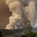 Чрезвычайное положение из-за лесных пожаров объявлено в Калифорнии 