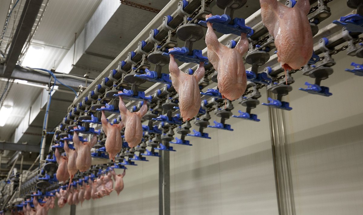 HKScan Estonia Talleggi Tabasalu lihatööstus on Hiina ametnikel juba auditeeritud.