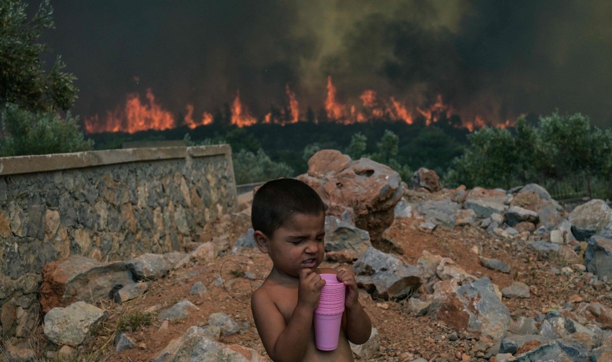 Pea kõik Vahemere-äärsed riigid on sunnitud rinda pistma nende maid hävitavate metsapõlengutega. 