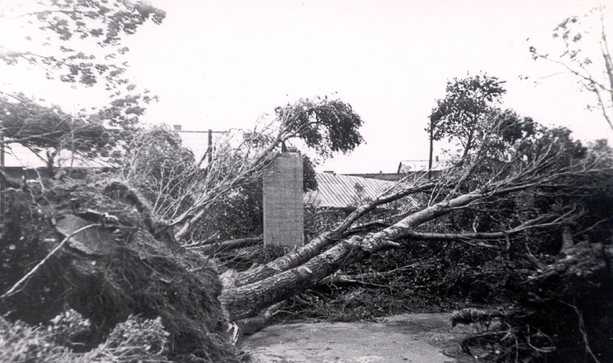 Kuni 35 m/s tormituul, mis lendas Eestis kaks päeva järjest, rebis maapinnast välja suured puud nende juurtega.