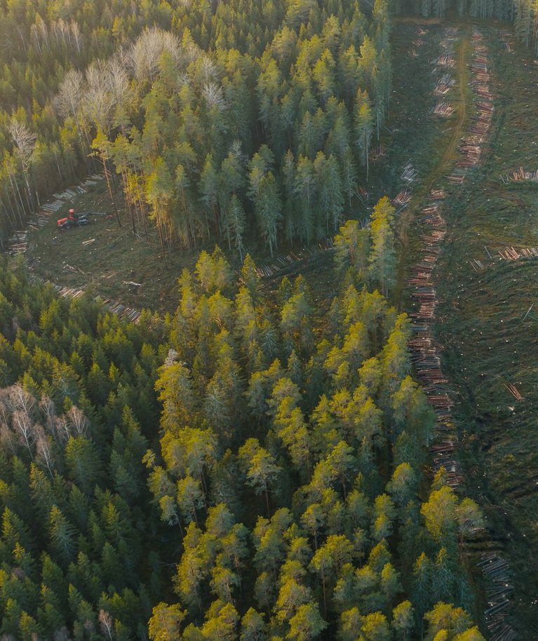Iga raie jaoks on vaja lubava otsusega metsateatist. Kui metsateatis esitatakse looduskaitseliste piirangutega metsa, siis ei otsusta süsteem automaatselt, vaid metsaregister suunab selle alati spetsialisti lauale.