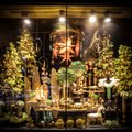 ФОТО | От павлиньих перьев до ангелочков: выяснилось, где в Таллинне находятся самые сказочные рождественские витрины