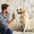 Koer ulatab abikäpa! 5 head moodust, kuidas koer aitab sinu uue aasta lubadusi pidada