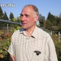 Jaak Eensalu räägib veini tegemise võimalikkusest Otepääl