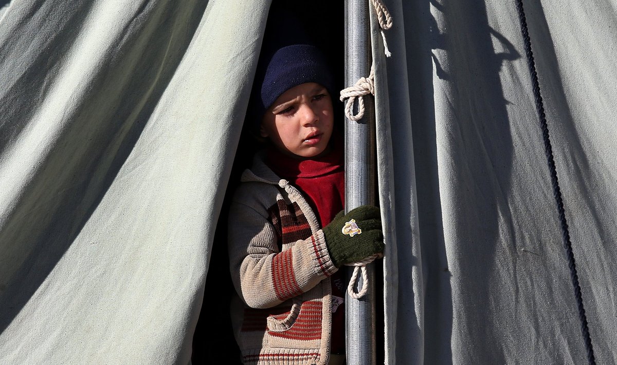 Süüria sõjapõgenik