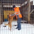 VIDEO | Milline näeb välja argipäev loomade varjupaigas?