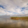 Teadlased: Võrtsjärve madal veetase ohustab järve elustikku ja on majanduslikult kulukas