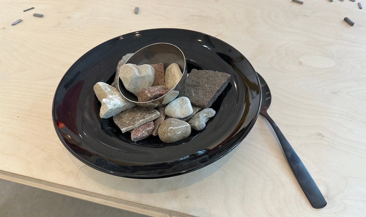 PEEN VÄRK: Gurmeerestorani hoolsusega on taldrikule sätitud hunnik kive.