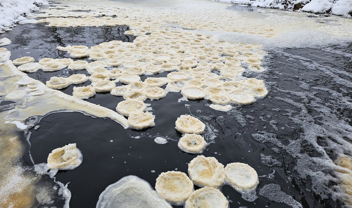 Диаметр ледяных кругов - около 30 см, хотя иногда они могут достигать и трех метров.