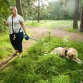 Sarimürgitaja Stroomi metsas: surnud on kaks koera