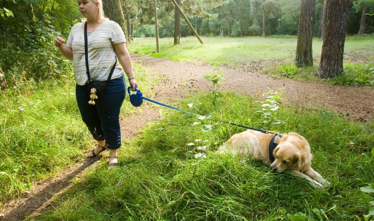 Stroomi pargis jalutanud koeraomanikud on kahel korral leidnud raja äärest maast vedelemas musta leinalindida kokkuseotud lihatükkide paki, koeraomanikud kahtlustavad, et pargis tegutseb keegi maniakk, kelle eesmärgiks on koeri mürgitada. 