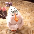 EDETABEL: "Angry Birds" tegi "Polaarposile" pähe! Vaata järgi, mis olid nädalavahetusel Eesti vaadatuimad filmid