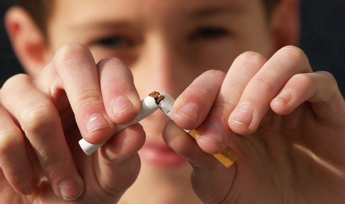 Современная табачная эпидемия основана на сигаретах фабричного производства – коммерчески успешном продукте, который за последние 75 лет почти не изменился.