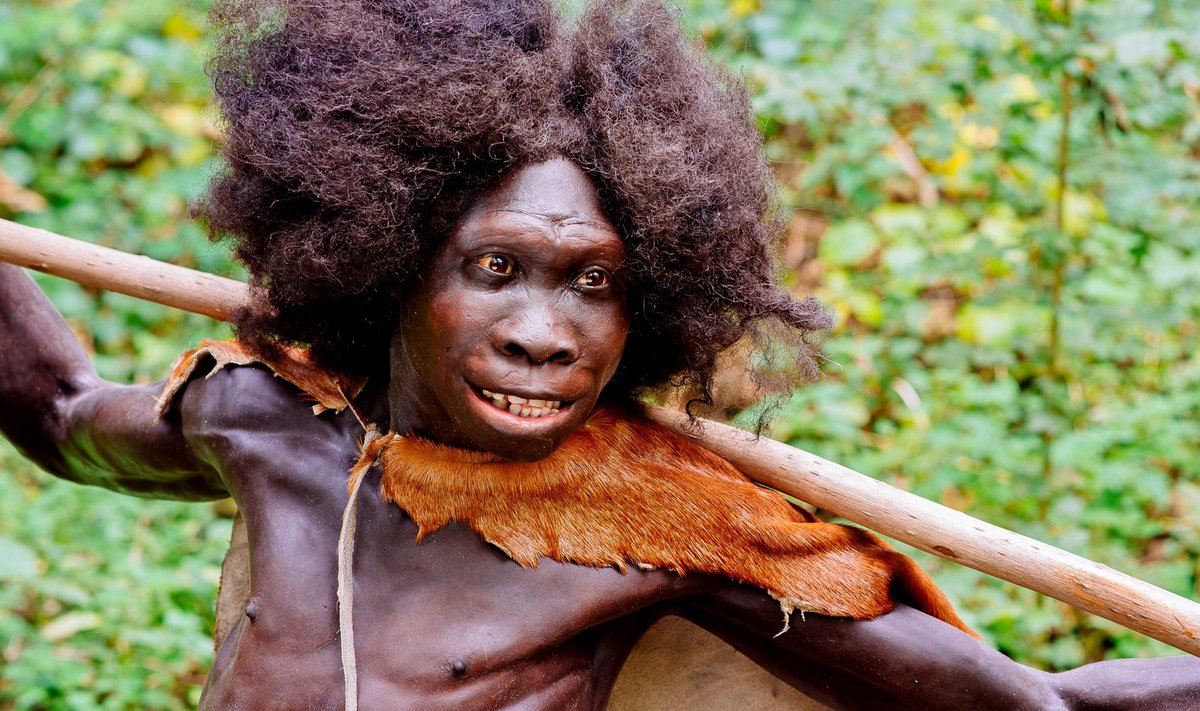 Nn. Turkana poisi rekonstruktsioon