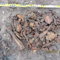 Saaremaalt Varese sadamast leitud lapseskelett on vähemalt sajandivanune
